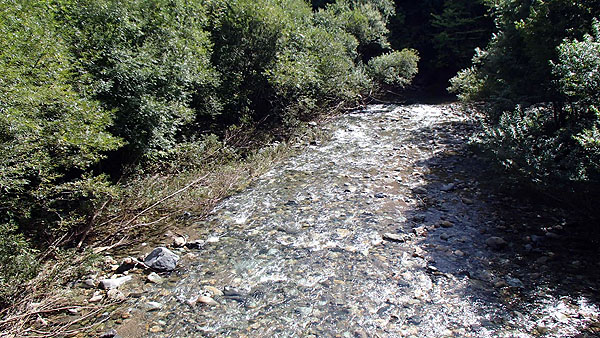 暗門大橋から見た川の景色